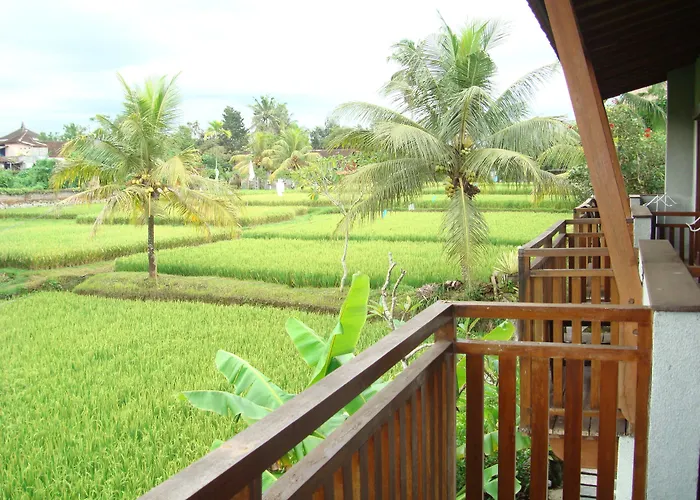 Anini Raka 4* Ubud (Bali)
