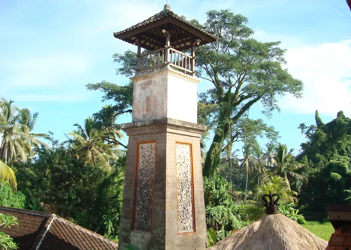 Anini Raka Ubud (Bali)
