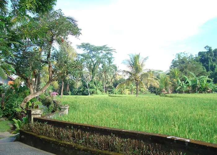 Resort Anini Raka Ubud (Bali)