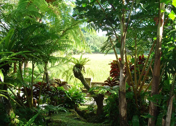 Anini Raka Resort 4*