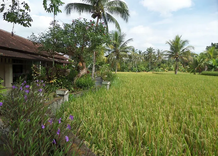 Resort Anini Raka